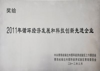 科技創(chuàng  )新先進(jìn)企業(yè)